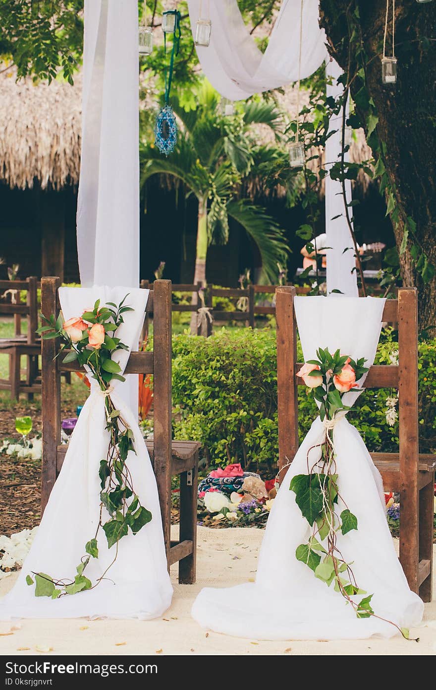 Orange Petaled Flowers on Chairs