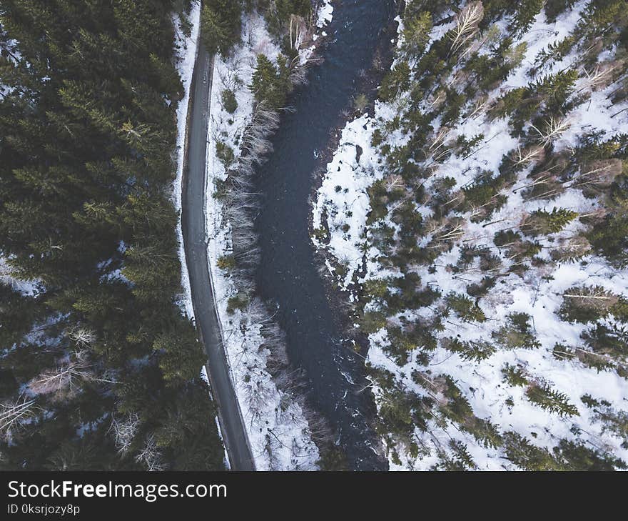 Body of Water Near Green Trees