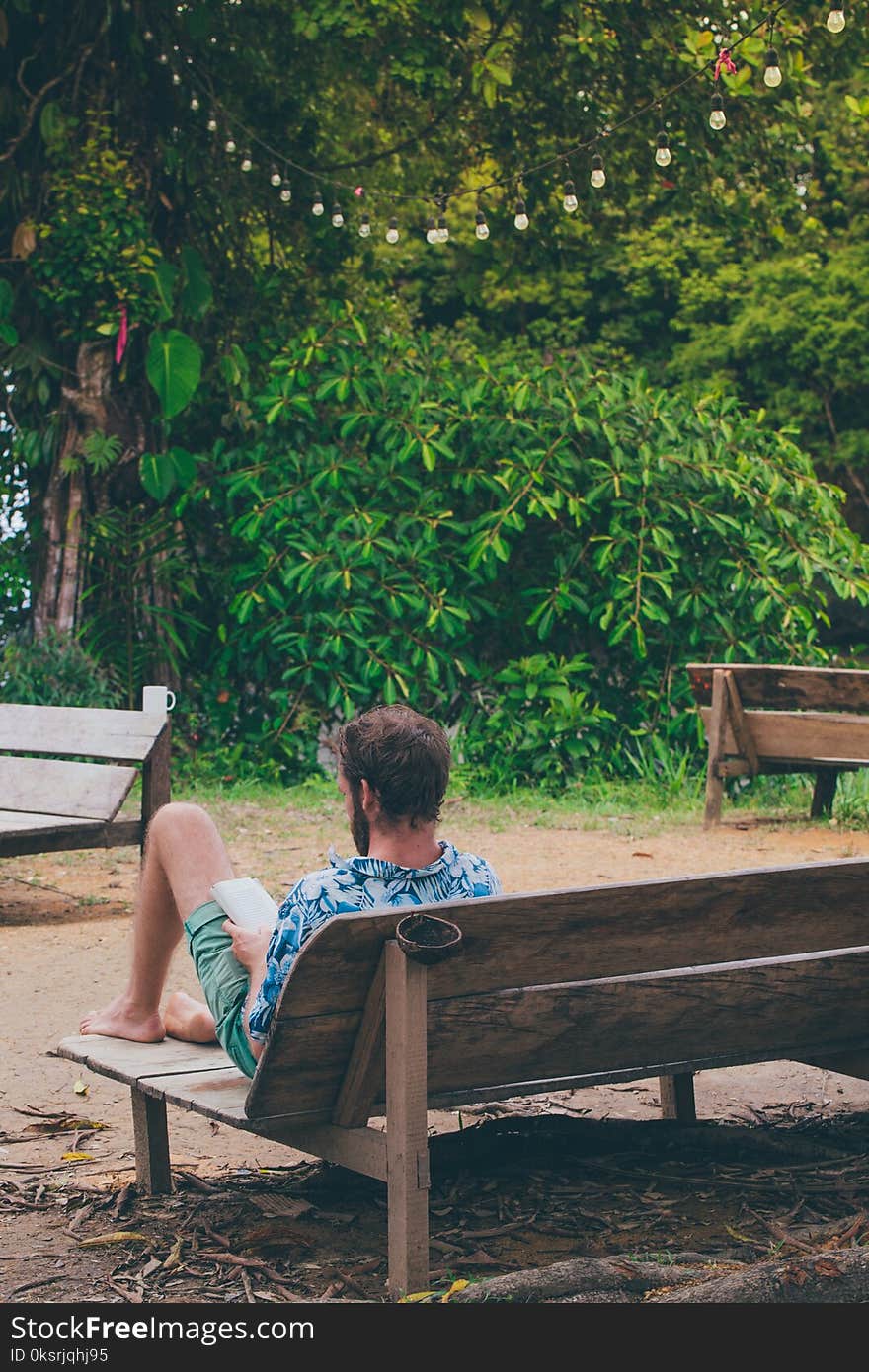 Man Reading Book Sitting on Bench Near Trees