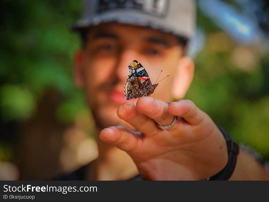 Brown and Black Butterfly on Man&#x27;s Hand