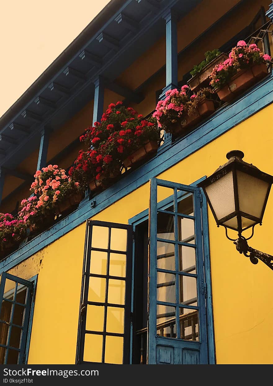 Balcony With Pink and Red Petaled Flowers