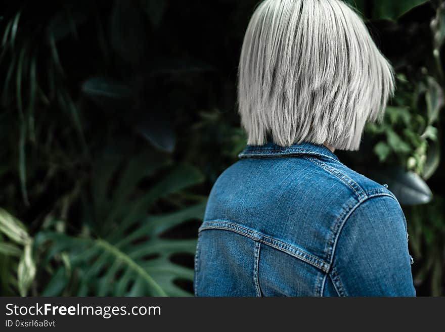 Person Wearing Blue Denim Jacket