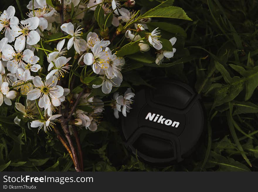 Black Nikon Dslr Camera Lens Cover Near White Petaled Flowers