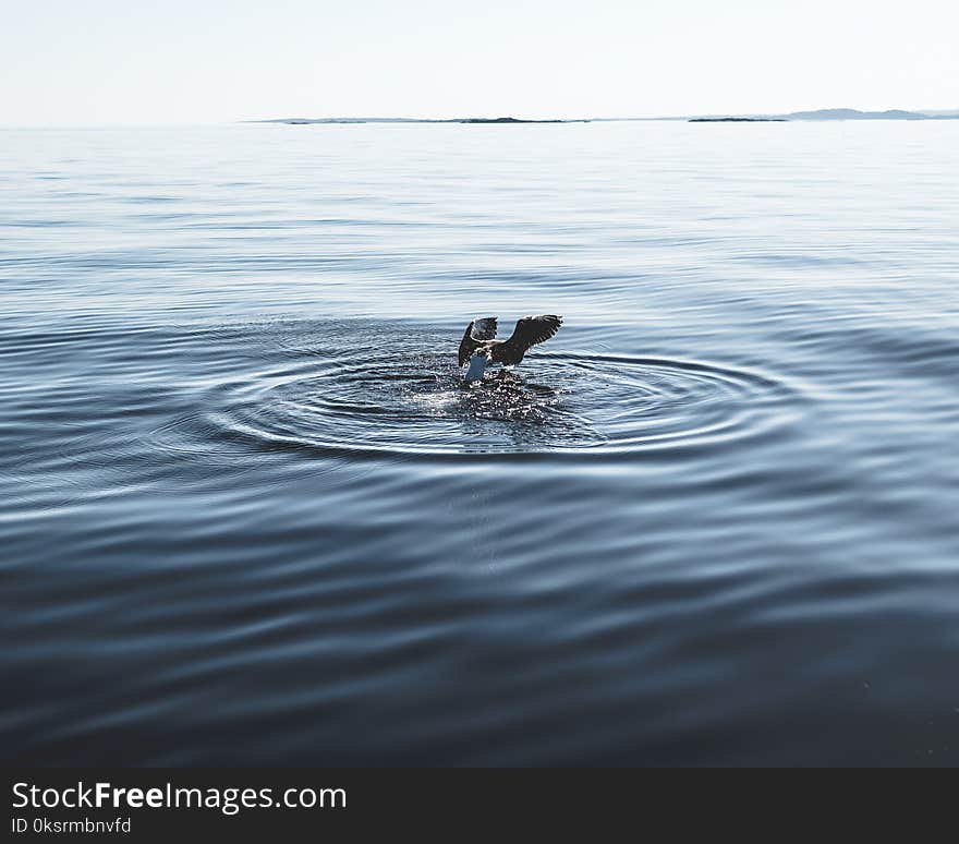 Body of Water Photography