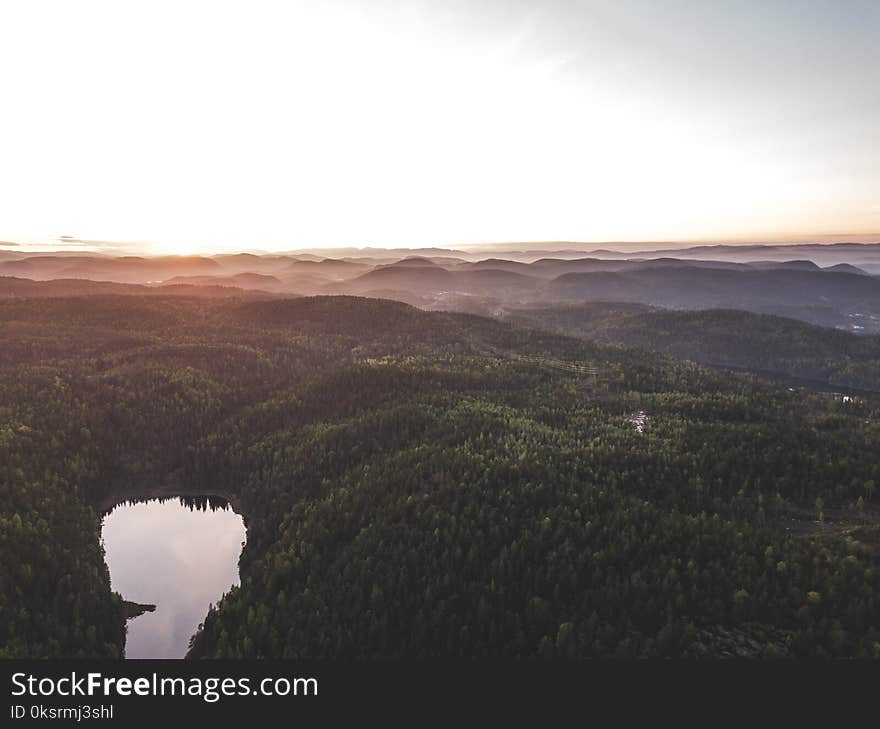 Green Trees Covered Mountains