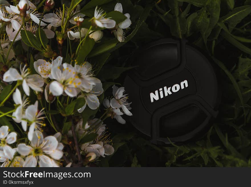 Black Nikon Camera Cap