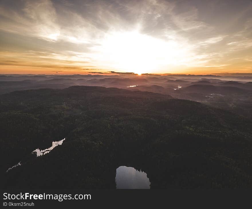 Aerial View Photography of Trees during Golden Hour