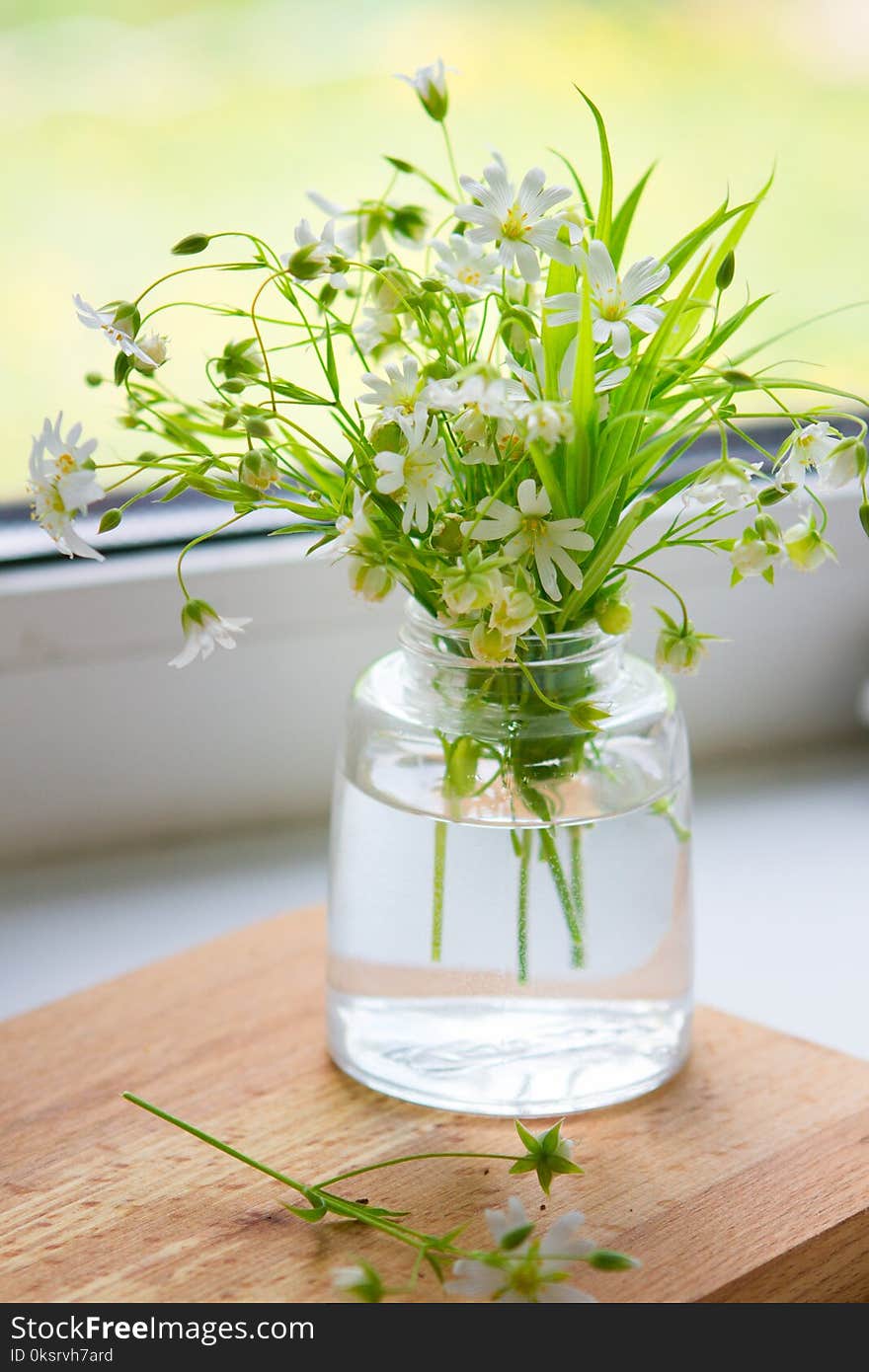 Wild flowers in a vase on the window. Wild flowers in a vase on the window