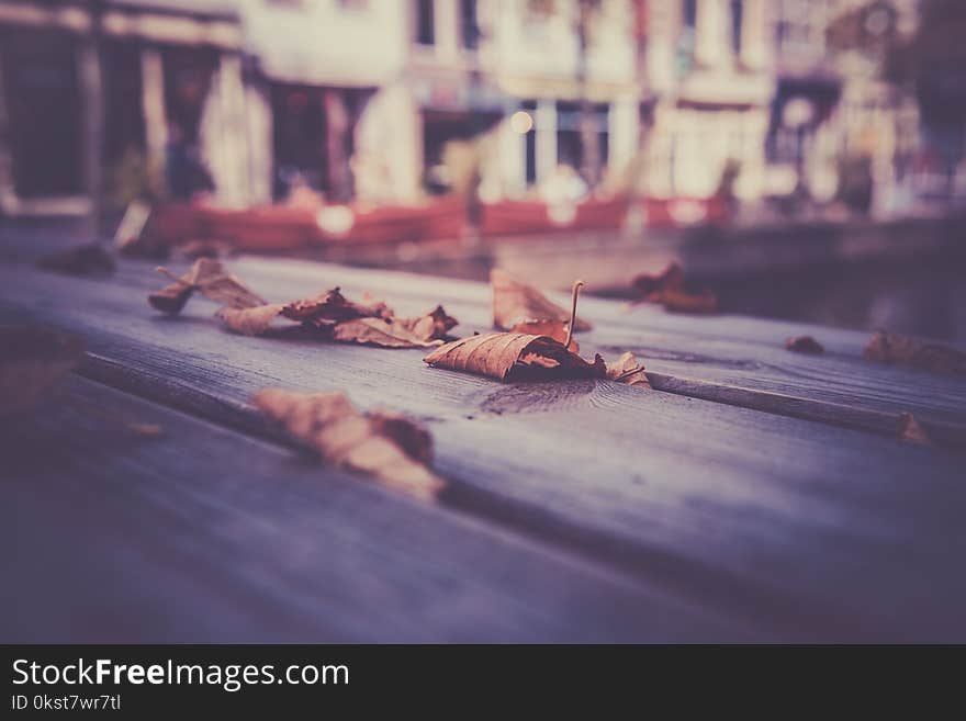 Fallen autumn leaves on a wooden table in the town. Filtered shot