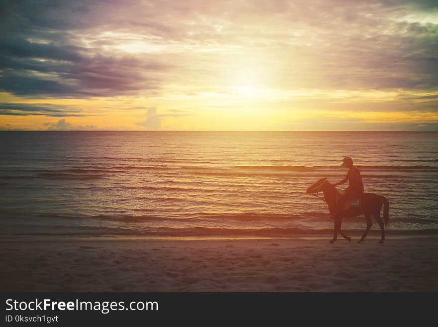 Silhouette man riding horse on the beach in the morning