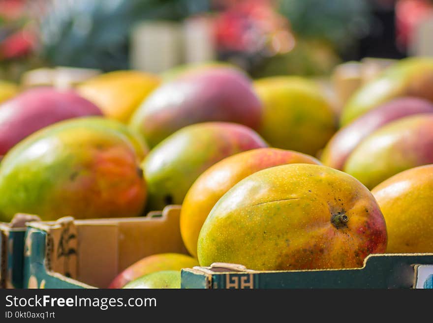 Ripe sweet mangoes in boxes at an outdoor retail fruit stall