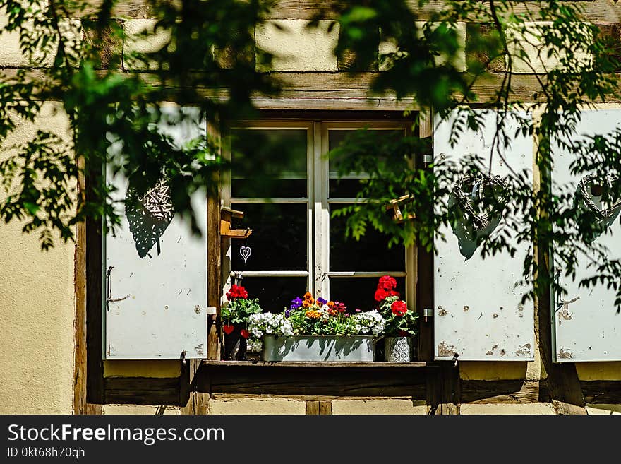 Old beautiful windows in historical center of Colmar, alsacien style, France