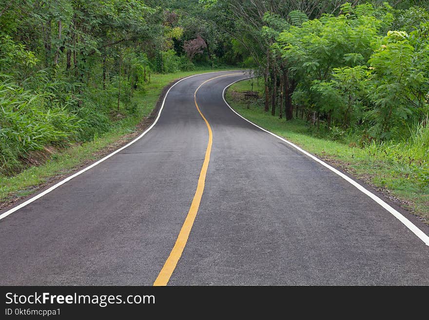 Curve way of asphalt road through the tropical forest