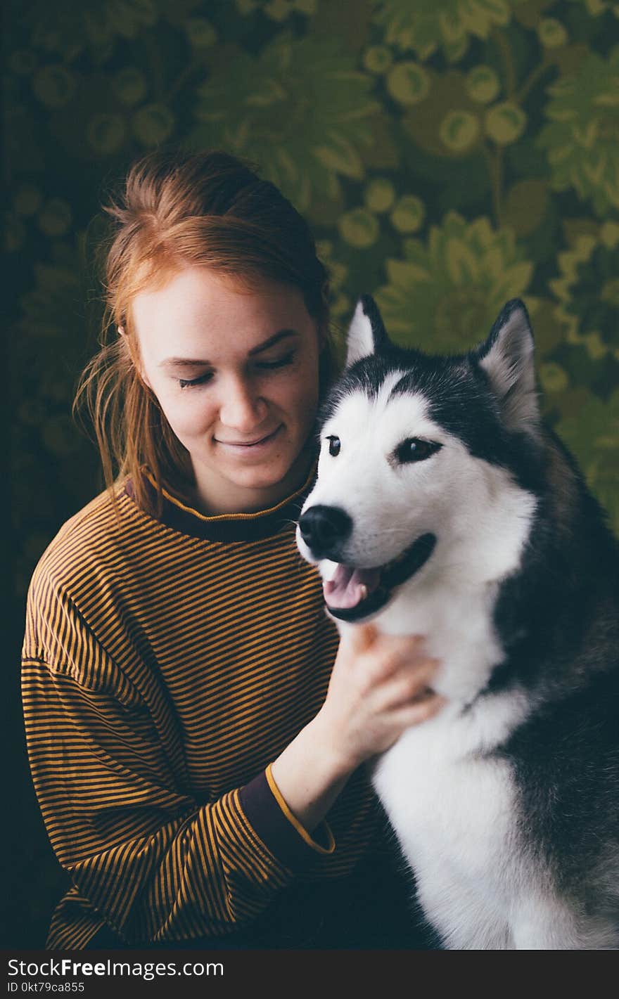 Woman Holding Adult Siberian Husky