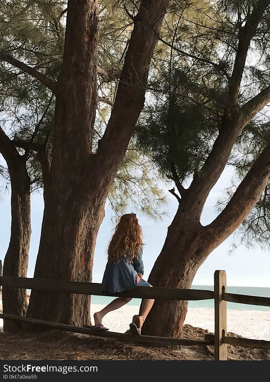 Woman Sitting on Wooden Fence Beside Tree