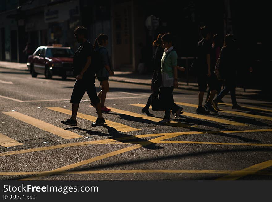 People Walking on Pedestrian Lane