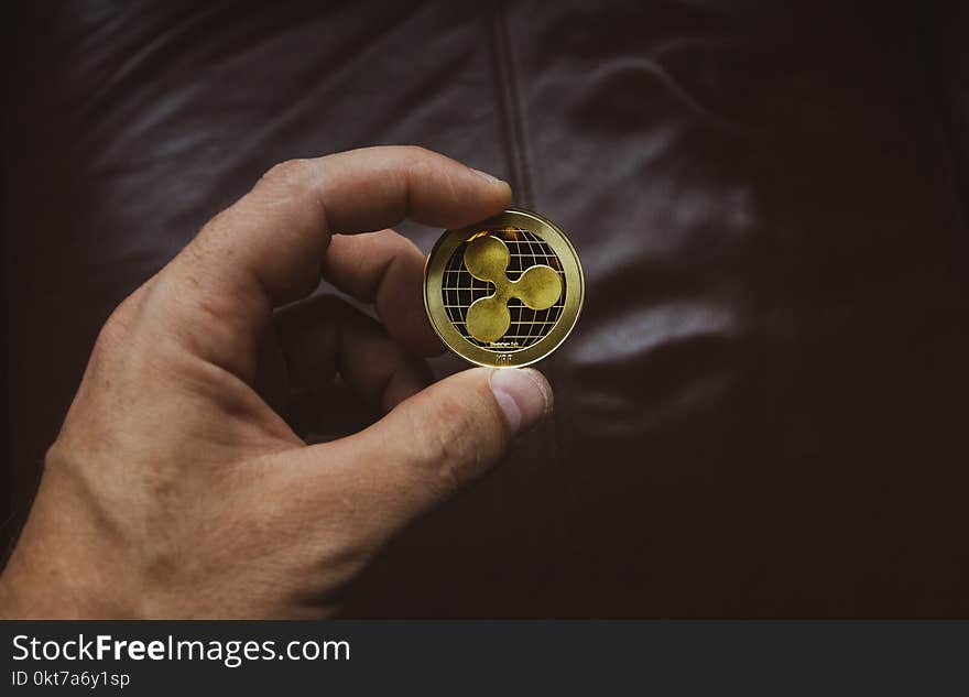 Person Holding Round Gold-colored Coin