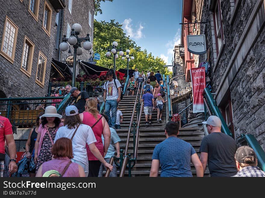 Group of Person on Stairs