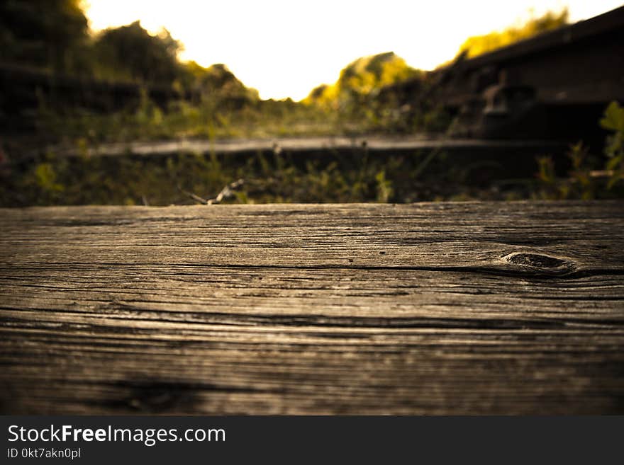 Shallow Focus Photography of Wooden Plank