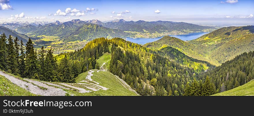 Aerial View Photography of Pine Trees