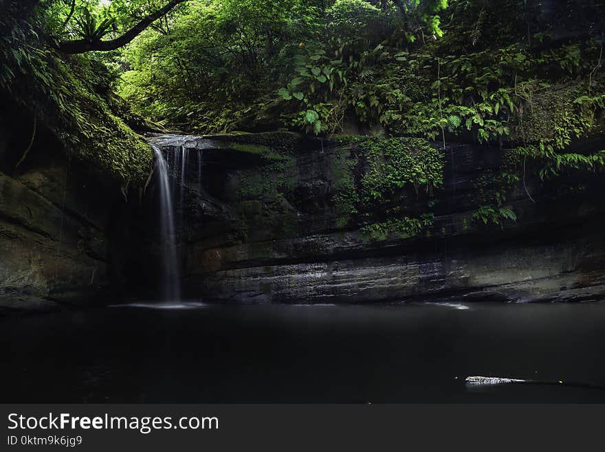 Waterfall Surrounded by Green Leaf Trees