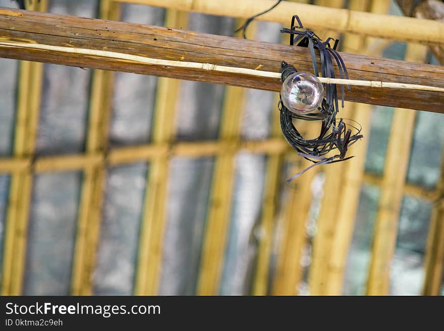 Shallow Focus Photography Of Light Bulb