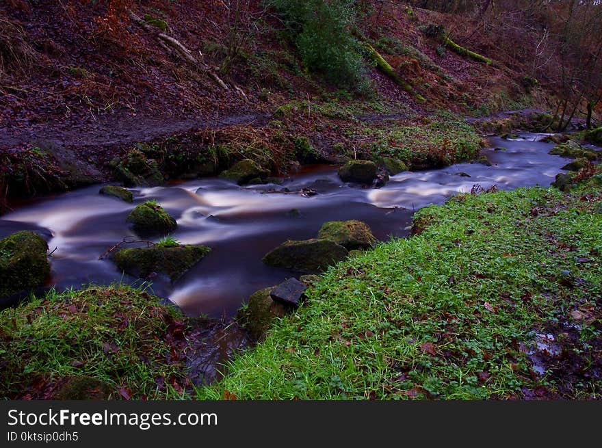 England Nature