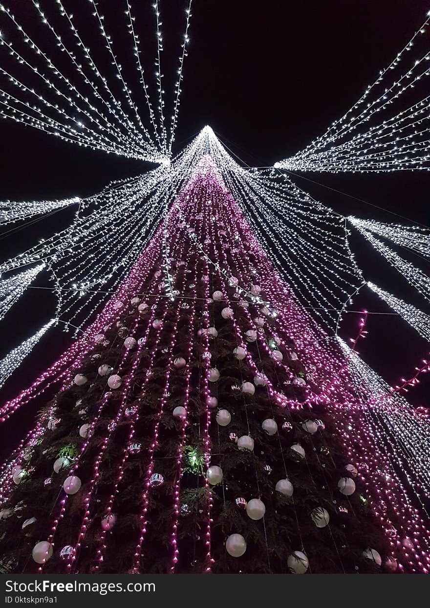 Winter In Vilnius Lithuania Christmas Tree With A Bunch Of Lights