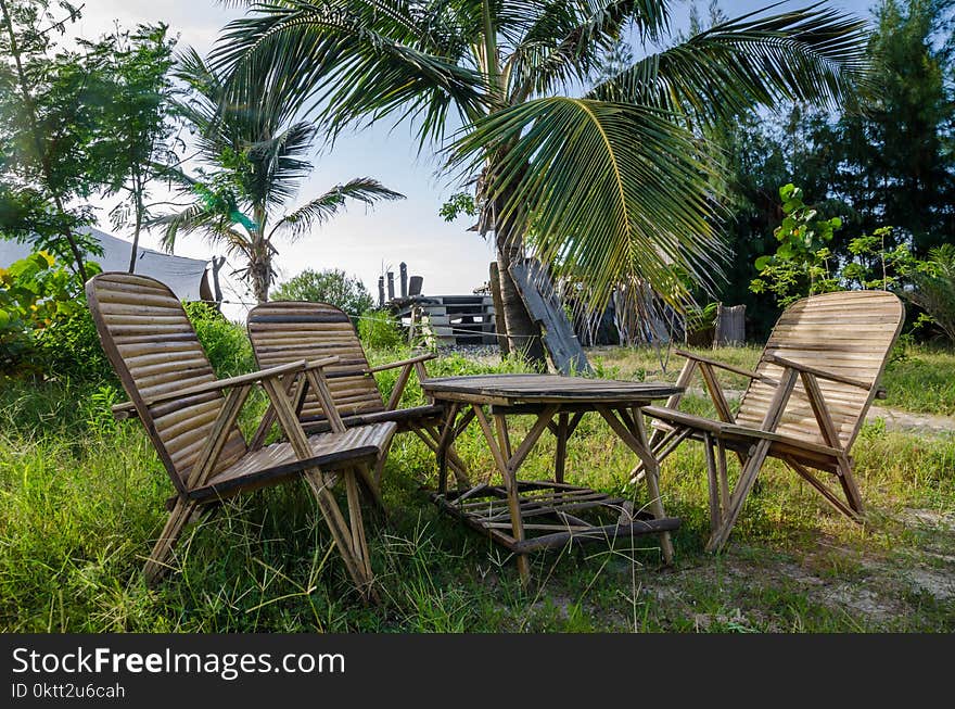 Rustic group of chairs and table made of bamboo in lush green surroundings at coast of Senegal, Africa