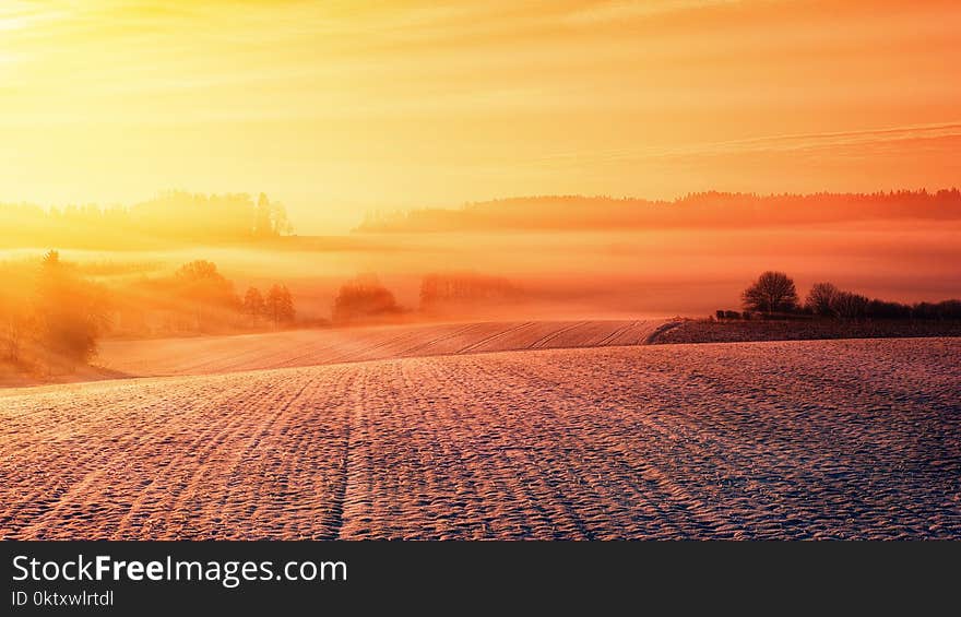 Sunset View on the Forest