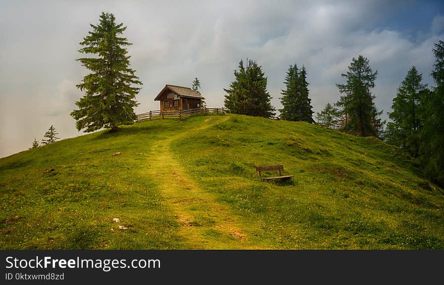 Brown Wooden House