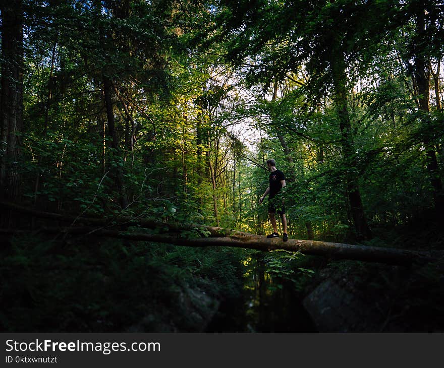 Man on Tree Trunk