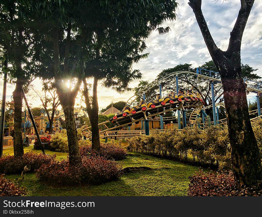 Roller Coaster Ride Near Trees Under Blue Clouds