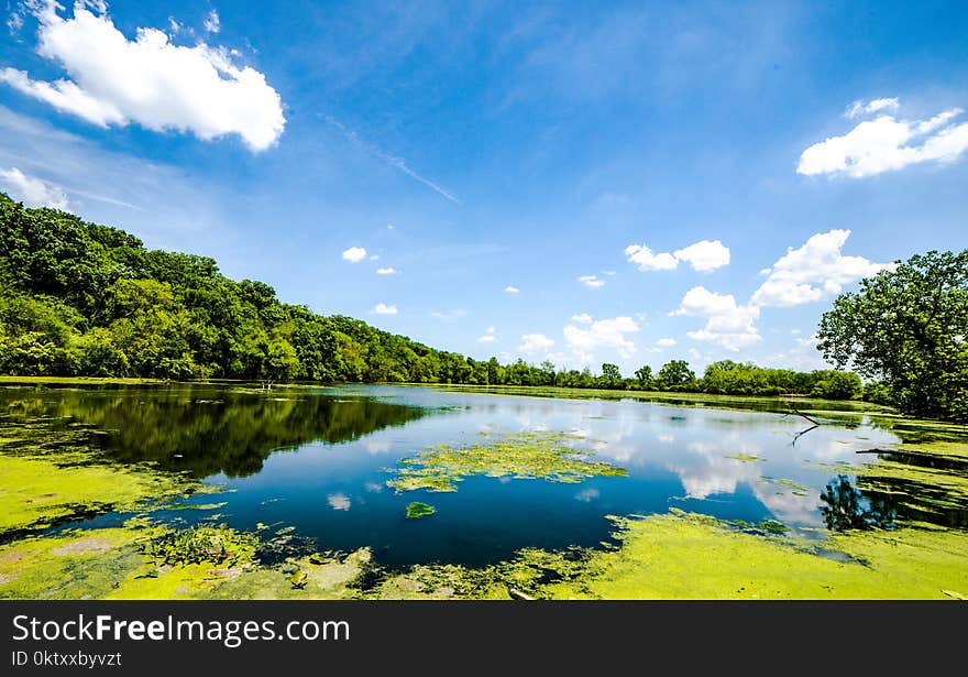 Landscape Photography of Body of Water Near Trees