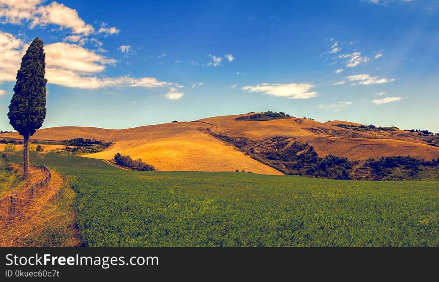 Green Grass and Mountain Under Blue Sky