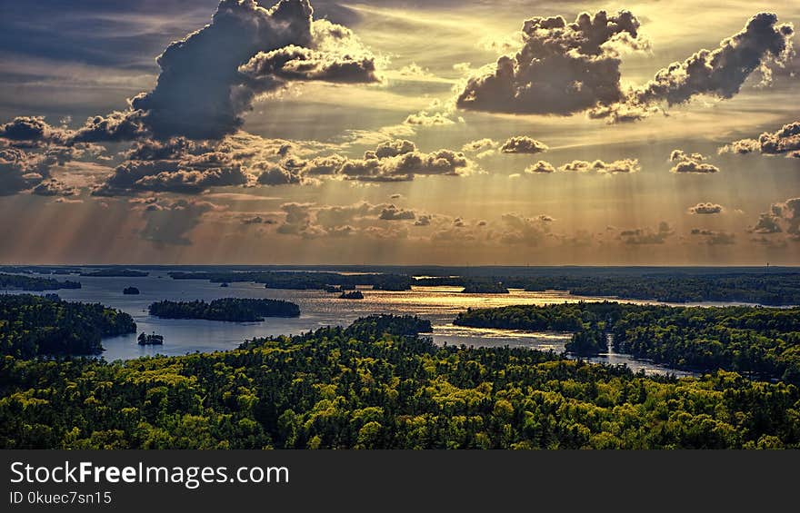 Aerial Photo Of Forest Beside Body Of Water