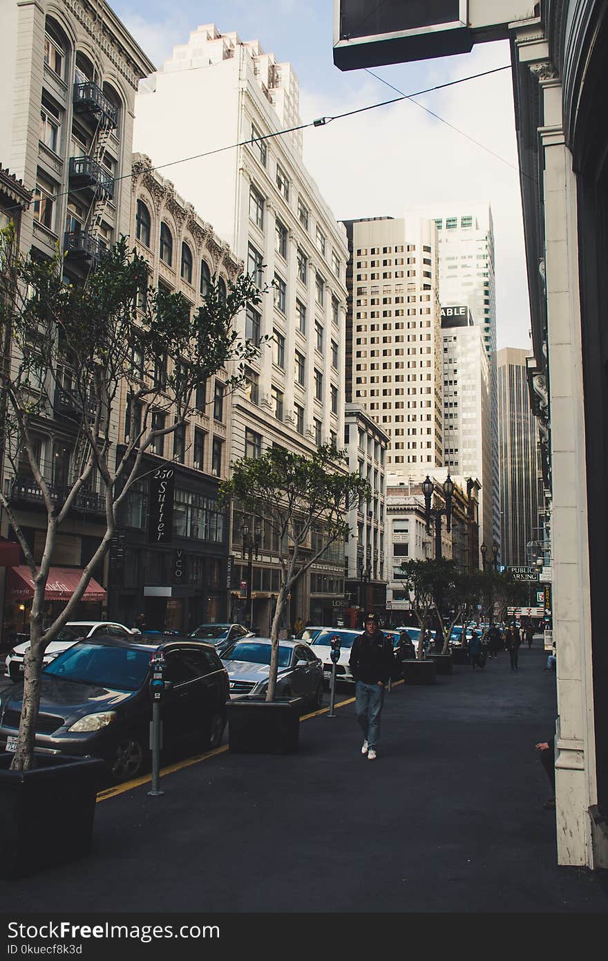 People Walking on Street