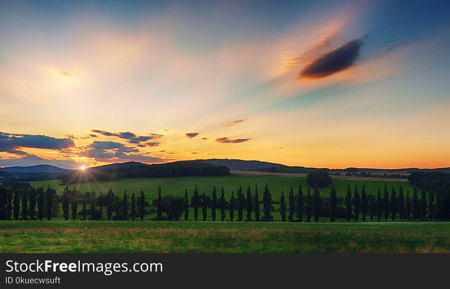 Green Grass Field during Sunset