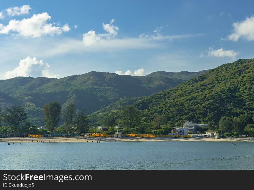 Forest Covered Mountain Near the Ocean