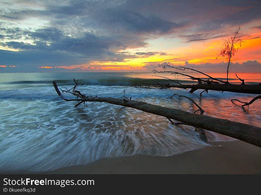 Tree Trunk on Body of Water