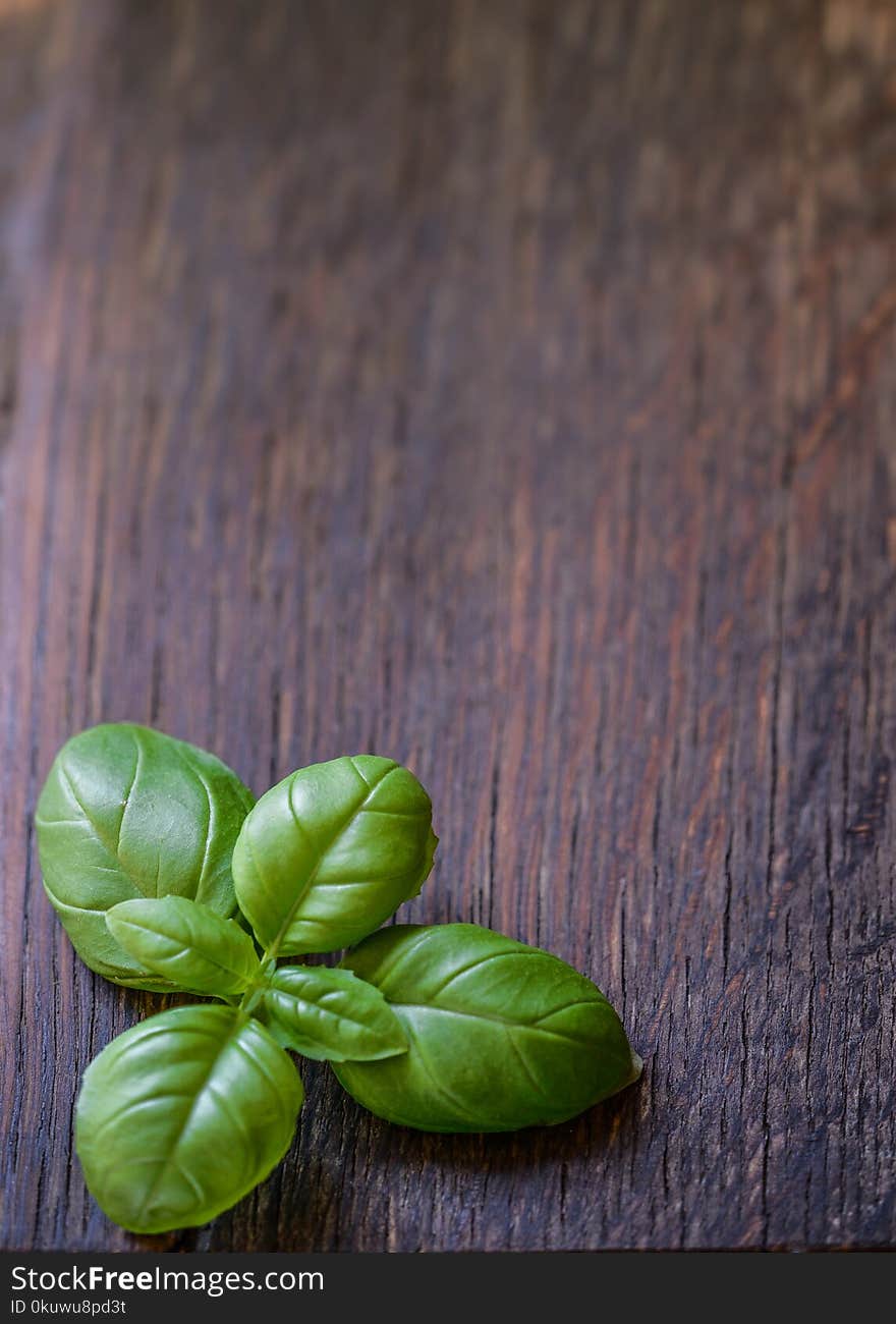 Green Basil Leaves