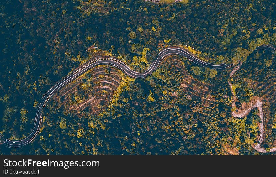 Aerial Photography of Road Beside Forest