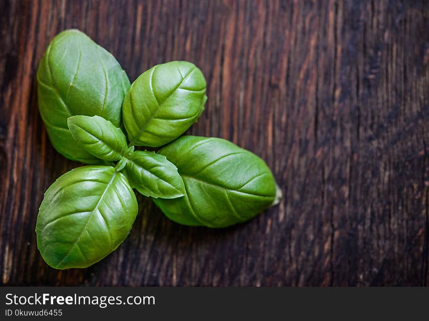 Green Leaf Plant on Brown Wooden Surface