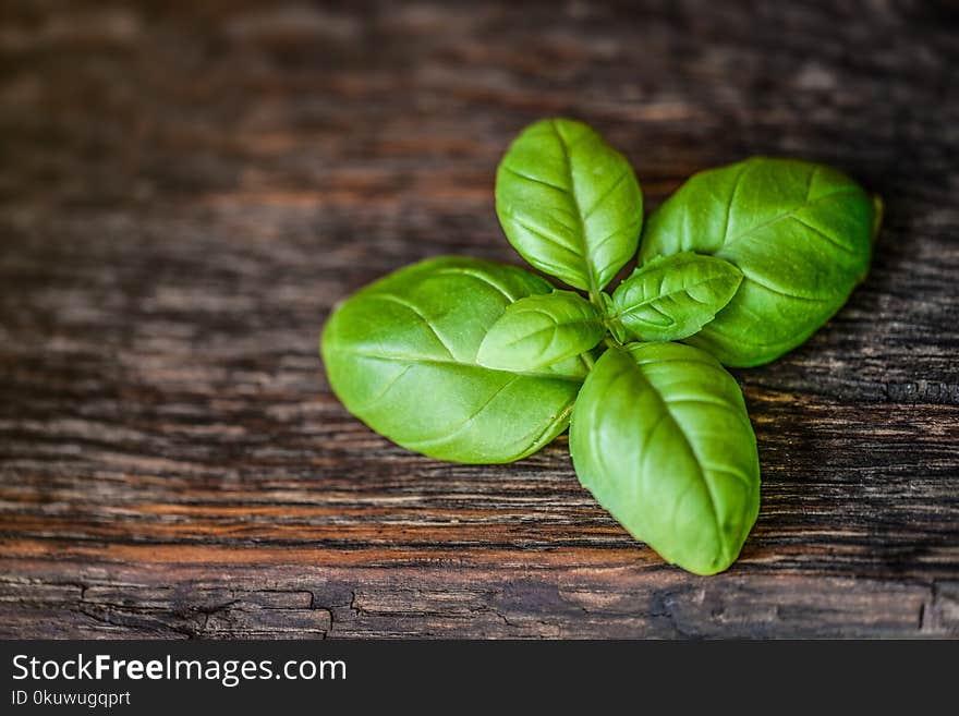 Green Leaves