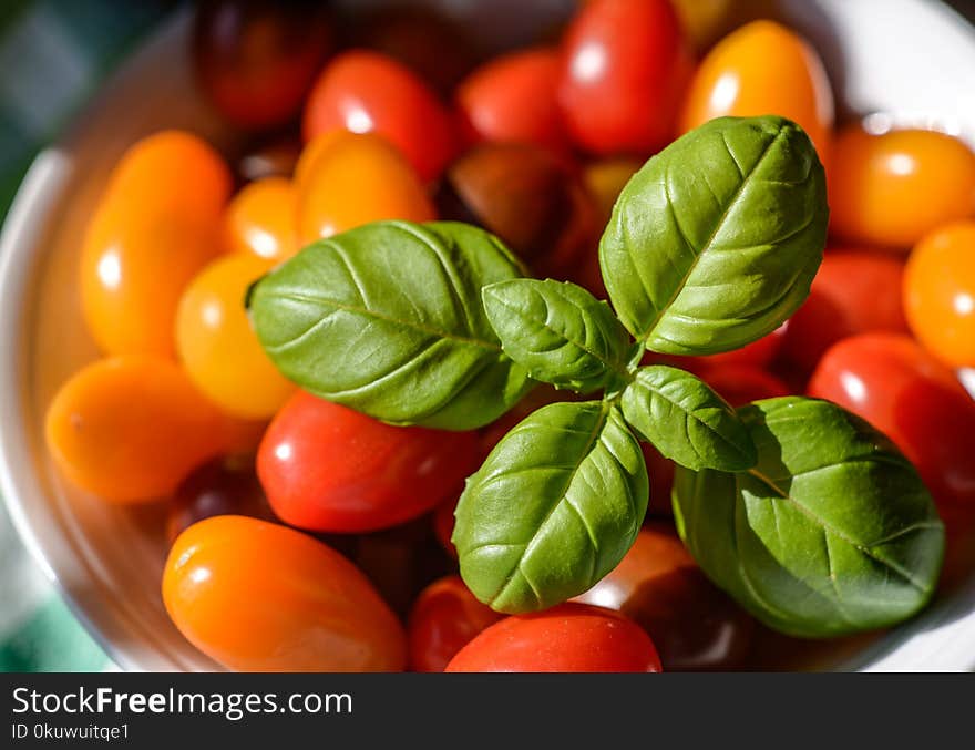 Photo of Assorted-color Tomatoes