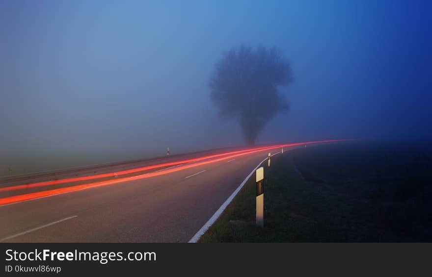 Time-lapse Photography of Fog Filled Road Near Tree