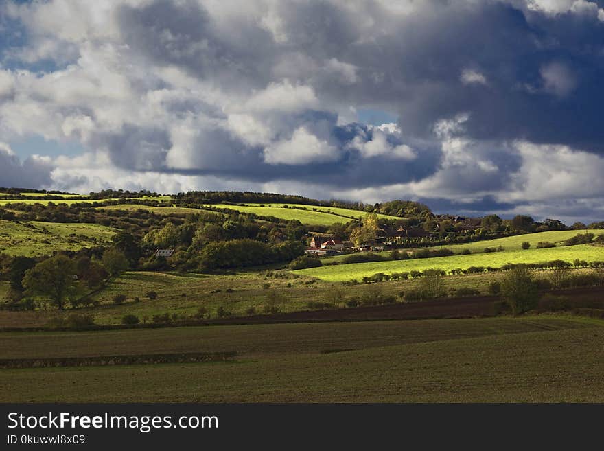 Green Grassland