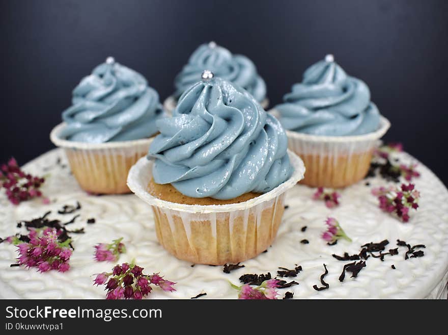 Four Cupcakes Photography