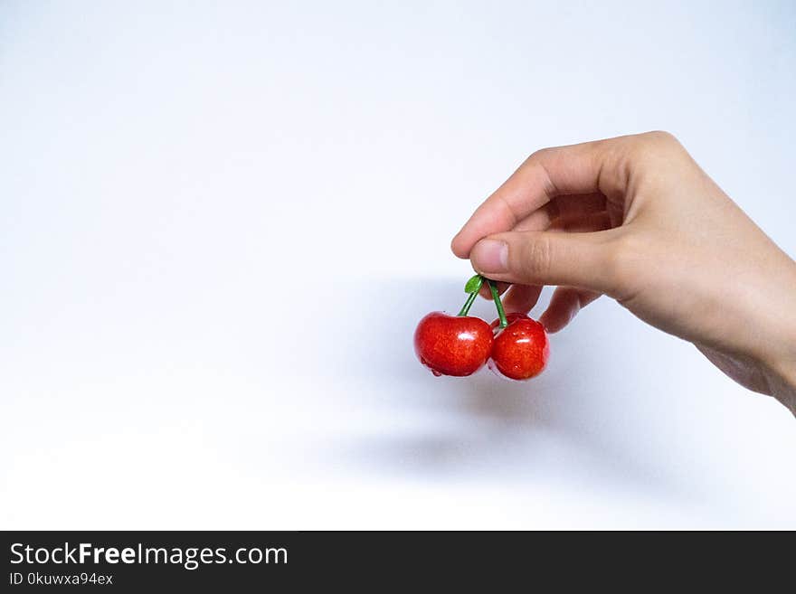 Person Holding Red Cherries