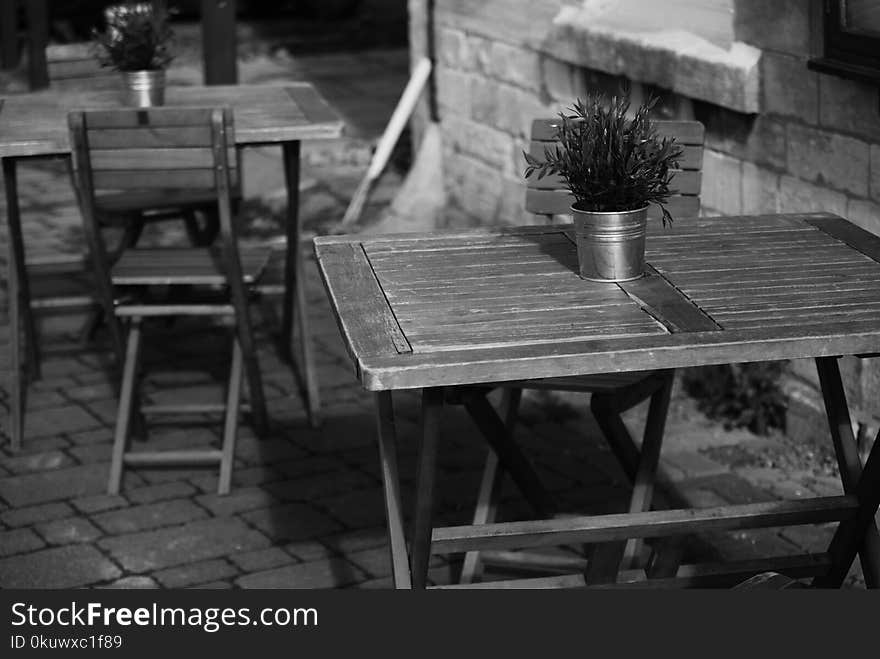 Photo of Potted Flower on Folding Table